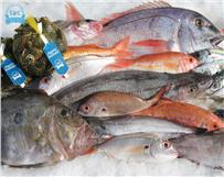 Sabe quantas vezes por semana deve comer peixe?